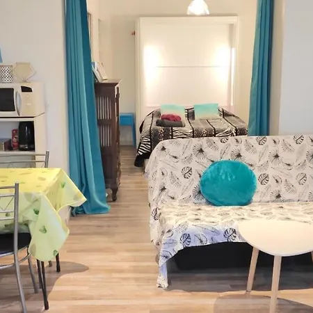 Grand Studio Centre Rdc Proche Gare Pont Valentre * Cahors