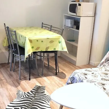 Apartment Grand Studio Centre Rdc Proche Gare Pont Valentre Cahors