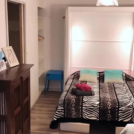Grand Studio Centre Rdc Proche Gare Pont Valentre Apartment Cahors